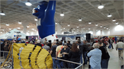 2016 - IX Piston Powered Auto Rama (97)